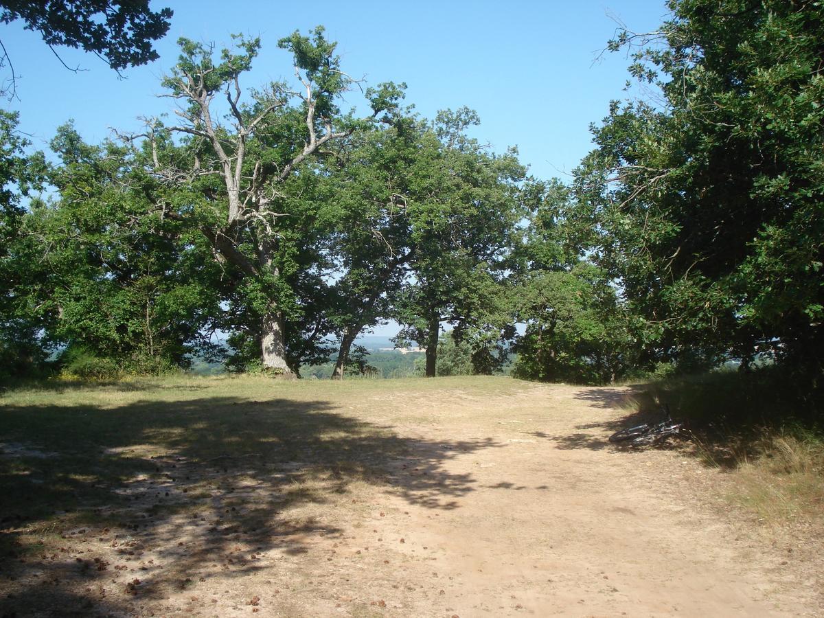 Les Premices De La Foret Chailly-en-Biere Dış mekan fotoğraf